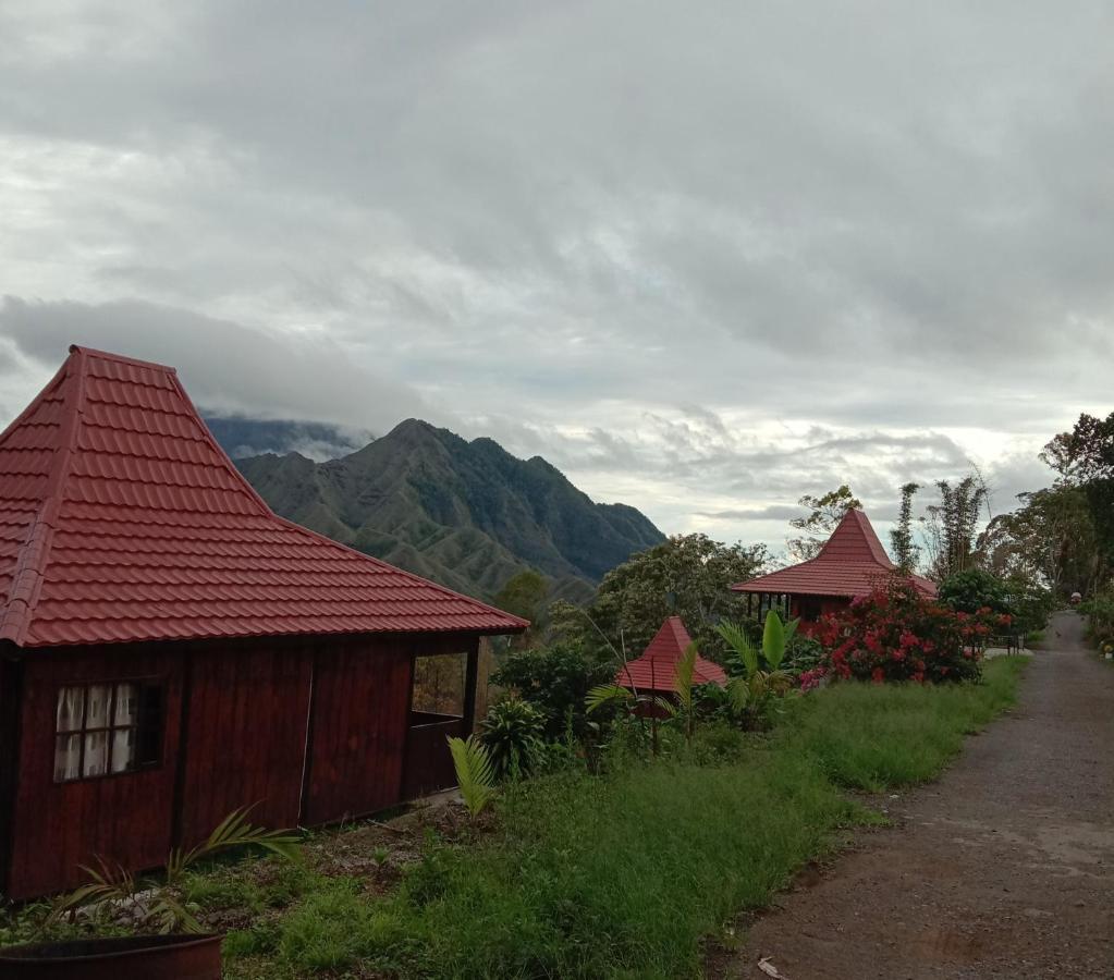 Home Stay Wolokoro Ecotourism Bajawa Exterior photo